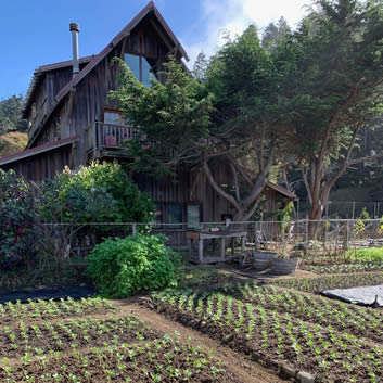 Victory Gardens for Peace Mini-Farm near Mendocino, CA
